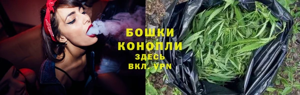 мяу мяу мука Белокуриха